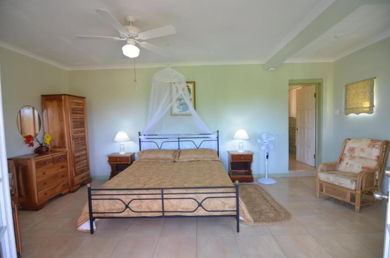 Pimento Lodge Resort Πορτ Αντόνιο Εξωτερικό φωτογραφία