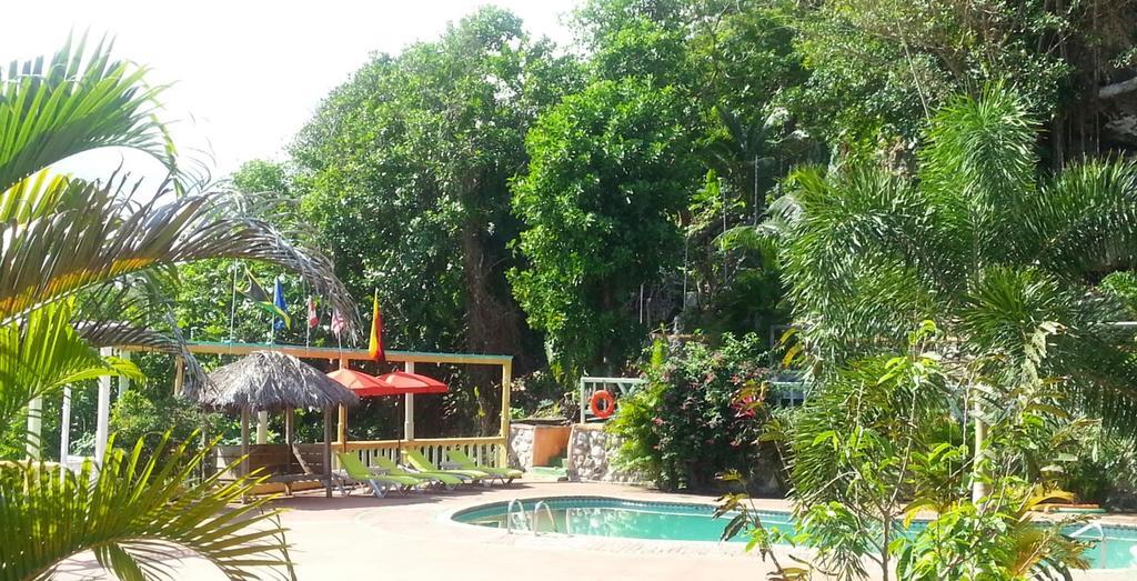 Pimento Lodge Resort Πορτ Αντόνιο Εξωτερικό φωτογραφία