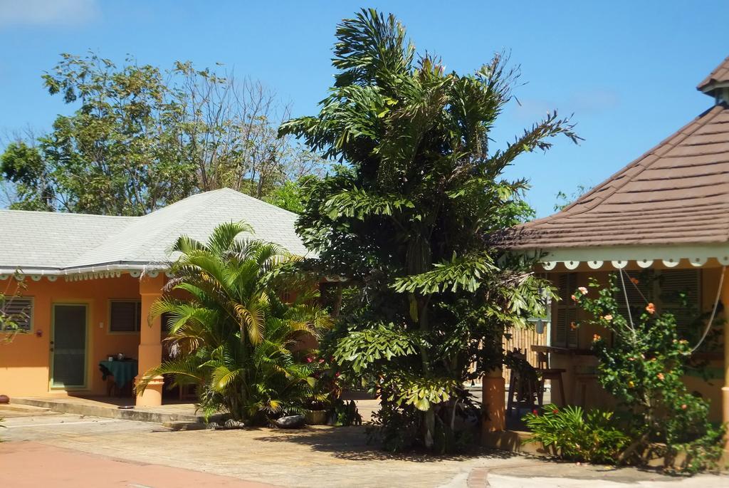 Pimento Lodge Resort Πορτ Αντόνιο Εξωτερικό φωτογραφία