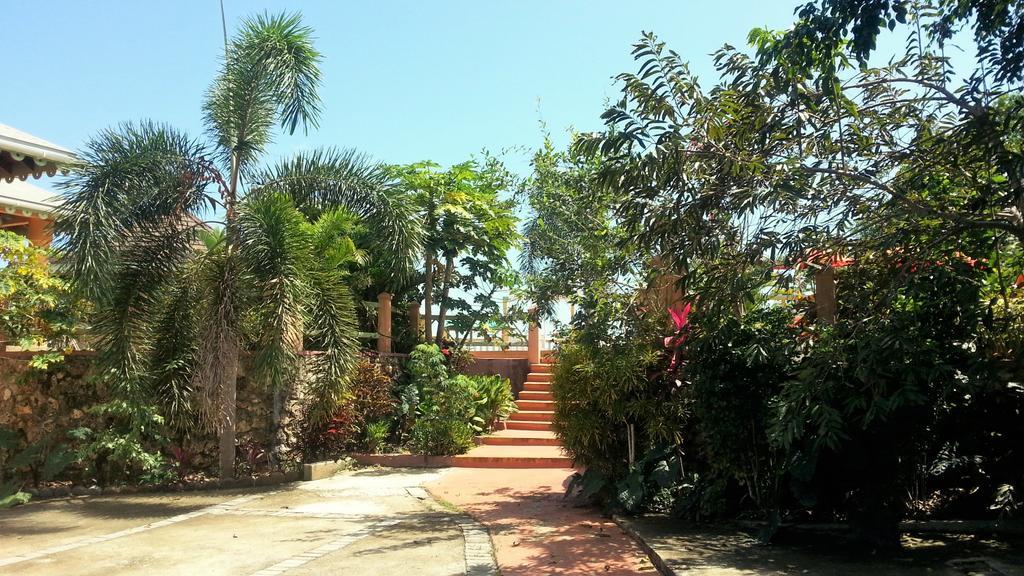 Pimento Lodge Resort Πορτ Αντόνιο Εξωτερικό φωτογραφία